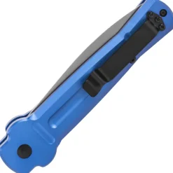 ACE-BLS - AKC X-treme Ace BLUE/Satin