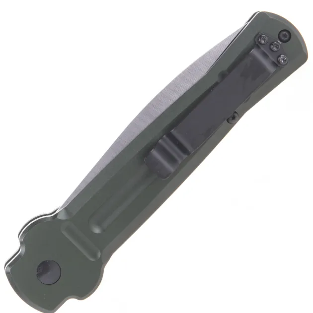 ACE-GS - AKC X-treme Ace Od/ Satin