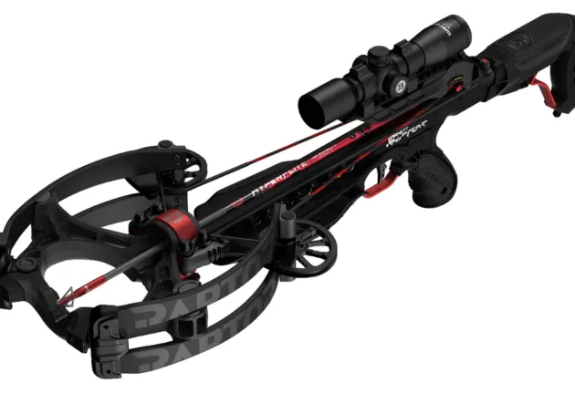 AJ783 - BARNETT Hyper Raptor 205 lbs + lunette + traits