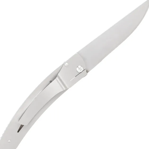 4967.B LE THIERS DOZORME LINER LOCK NATURE BOUSSOLE 10,5CM INOX