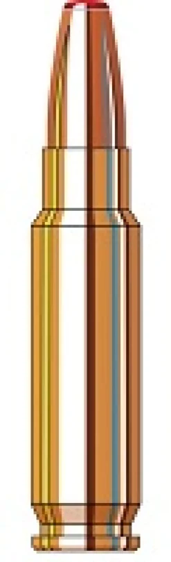 785379 - BOITE DE 25 CARTOUCHES HORNADY 5.7x28MM 55GR FTX