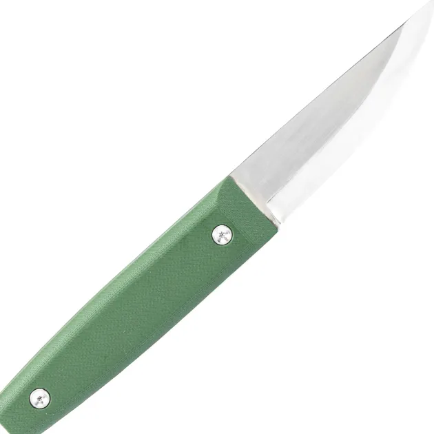 BPS Aurora