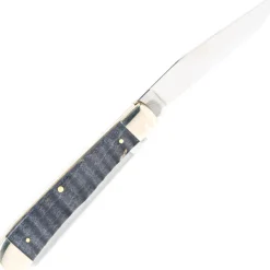 23350 - Case SS Black Curly Maple Wood Trapper
