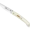 CD: 8913.PP LE THIERS DOZORME VERROU PLUMES DU PEINTRE 12CM INOX