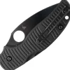 C123GPBKMCBK - Spyderco Sage 5 Salt