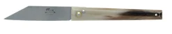 COG267CB COGNET LE MONTPELLIER POINTE DE CORNE GM