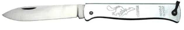 COG840GM COGNET L'ECUREUIL
