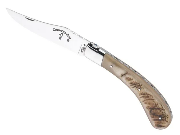 39612 COUTEAU GILLES LE CAPUCHADOU CORNE DE BELIER 12CM GUILLOCHE INOX