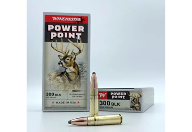 CX300BLK - 300 Blackout PO Werpoint,150gr x20