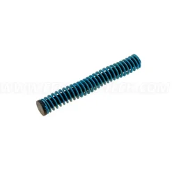 CZ-010001 - CZ P-10 Recoil Sping Assembly