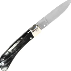 FA-SH18-HB - AKC Speed Hunter corne