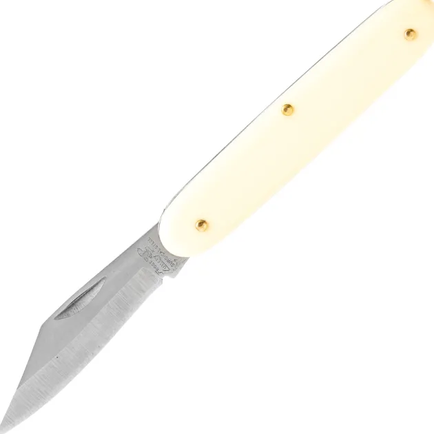 F15021IV - Frost Novelty Ivory