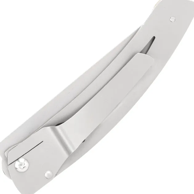 4967.F LE THIERS DOZORME LINER LOCK NATURE FOUGERE 10,5CM INOX