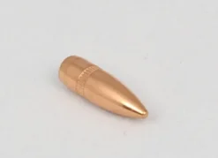223FMJ55CP - CAMPRO Balles FMJ 223 SBT 55GR par 500