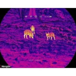 INF.MATE2.H38R - NOCPIX Lunette thermique- LRF - MATE H38R