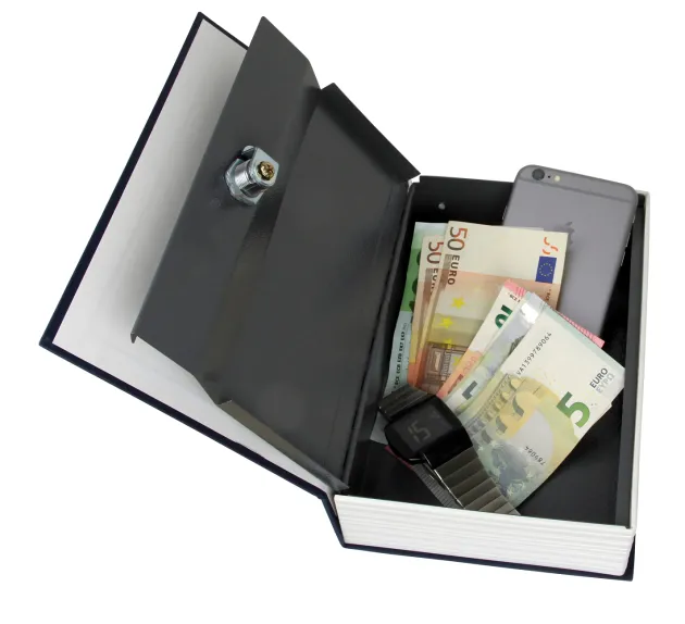K++370105 - KH SECURITY Coffre Dissimulé "English Dictionary"