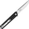 KS2110BK - Falcon Knives Black Linerlock