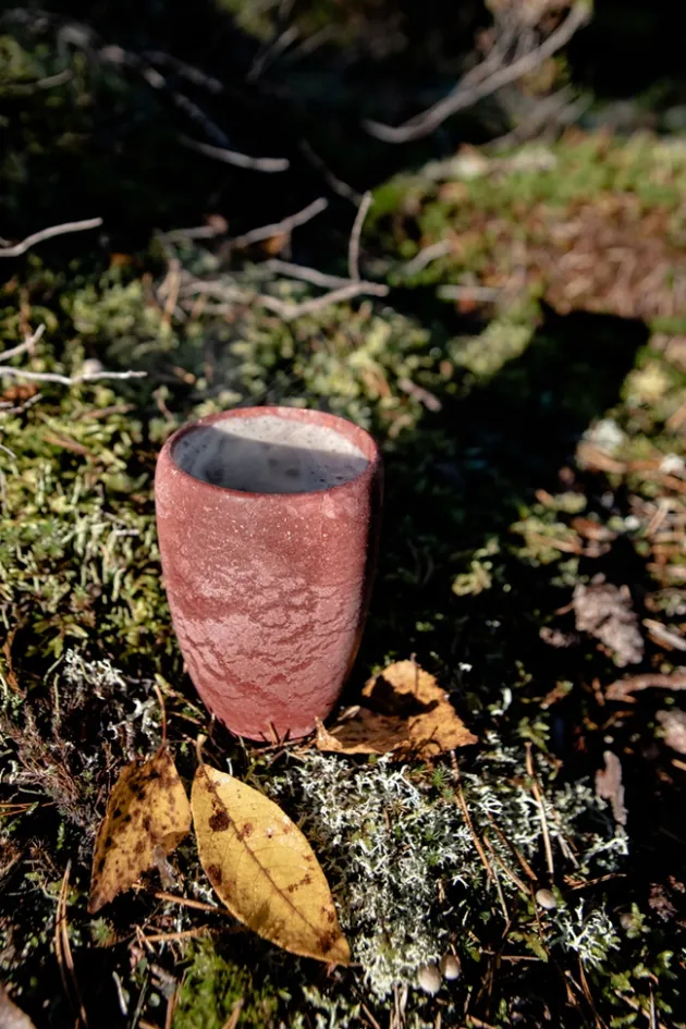 30303 - Kupilka Gobelet 30 rouge