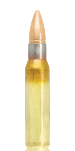 4317527 - Lapua .308 winchester FMJ 8.0g/123gr x20