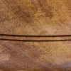 1901011500 - LARP Bol en bois 10 cm