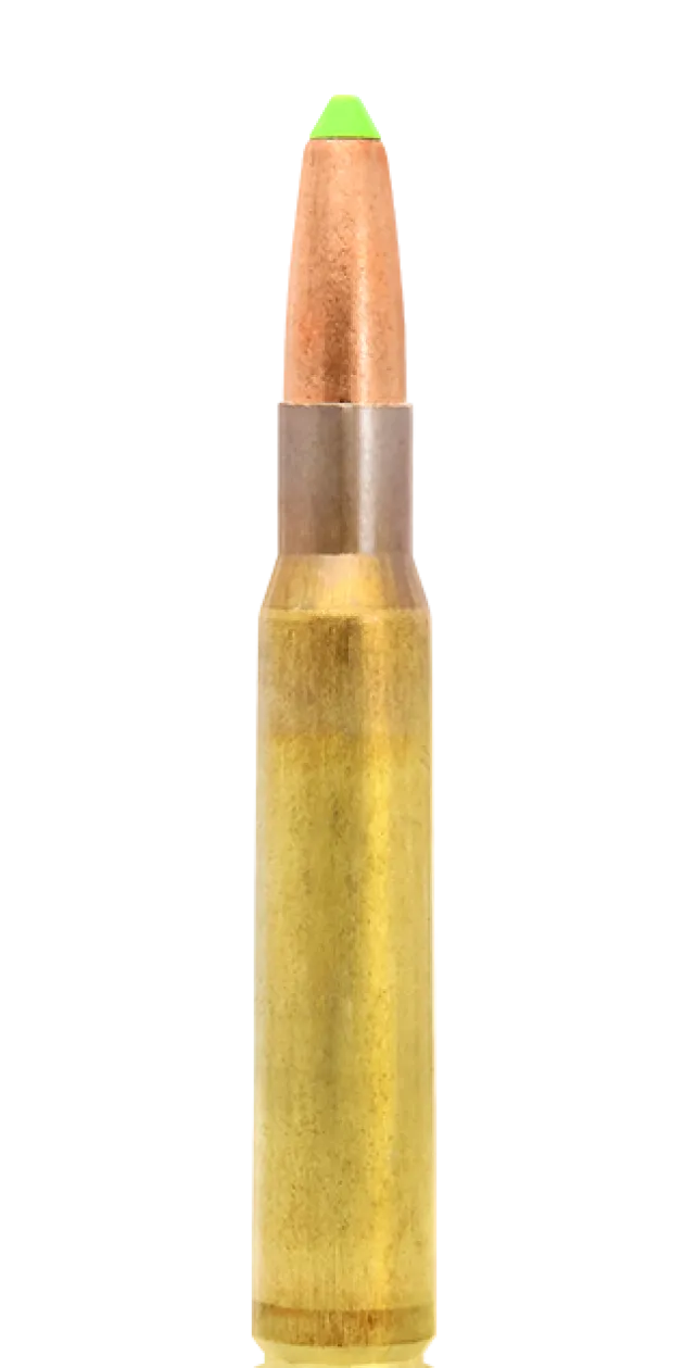 N317106 - Lapua Naturalis .30-06 170GR X20