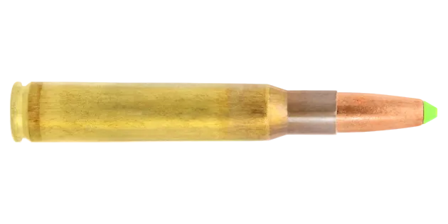 N317106 - Lapua Naturalis .30-06 170GR X20