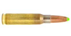 N317105 - Lapua Naturalis .308 WIN 170GR X20