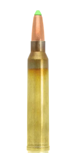 N317204 - Lapua Naturalis .300WM 170GR X10