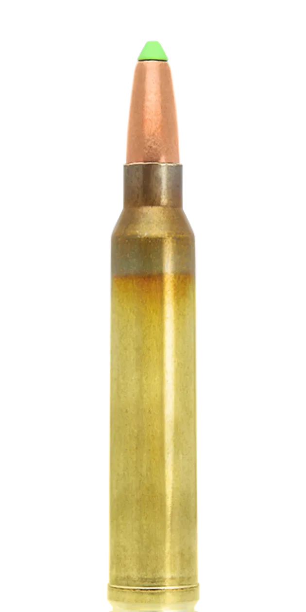 N317204 - Lapua Naturalis .300WM 170GR X10