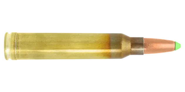 N317204 - Lapua Naturalis .300WM 170GR X10
