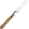 87310 - Nontron Violon PP