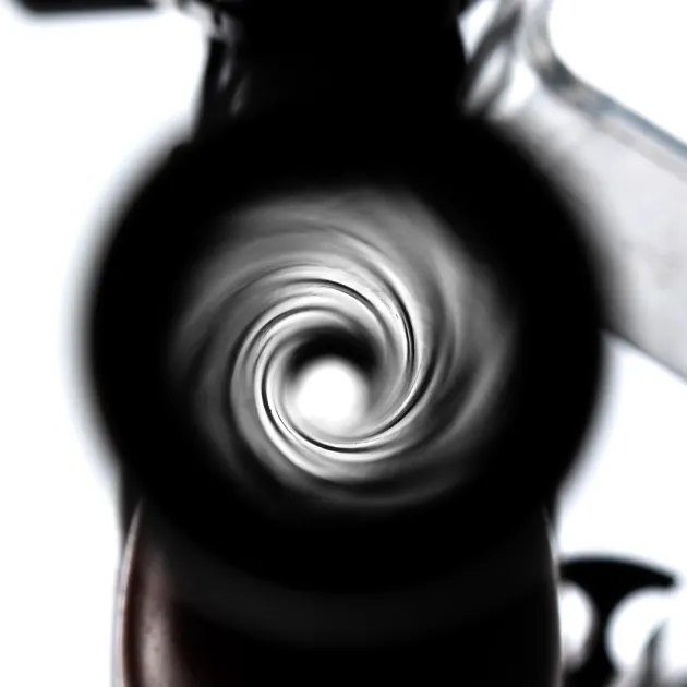OCCASROSSIJUDGE - Carabine Rossi Circuit Judge (44 Rem Mag)