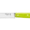 OP00115694 Opinel cranté acidulé pomme N° 113