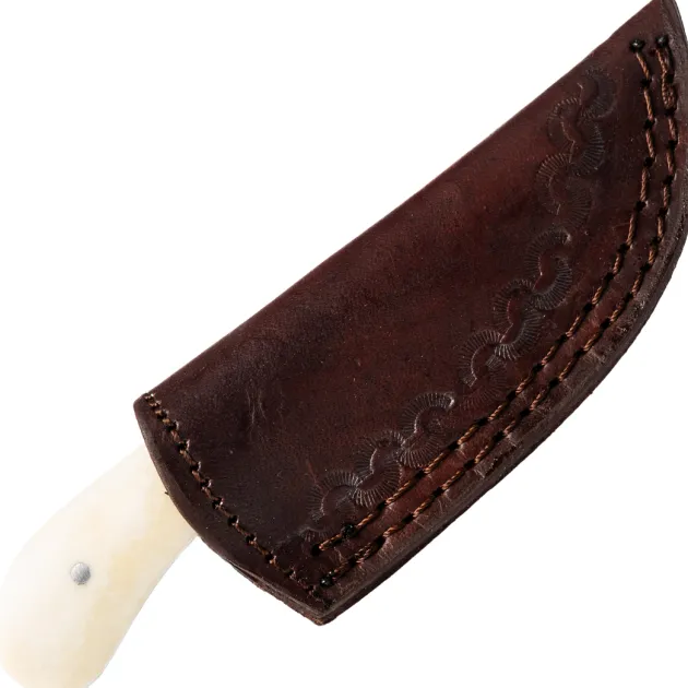 PA203382 - Rite Edge Bone Skinner