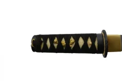 Paul Chen Raptor Tanto.