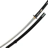 PC2417 - CAS Hanwei Raptor Shobu Zukuri Katana