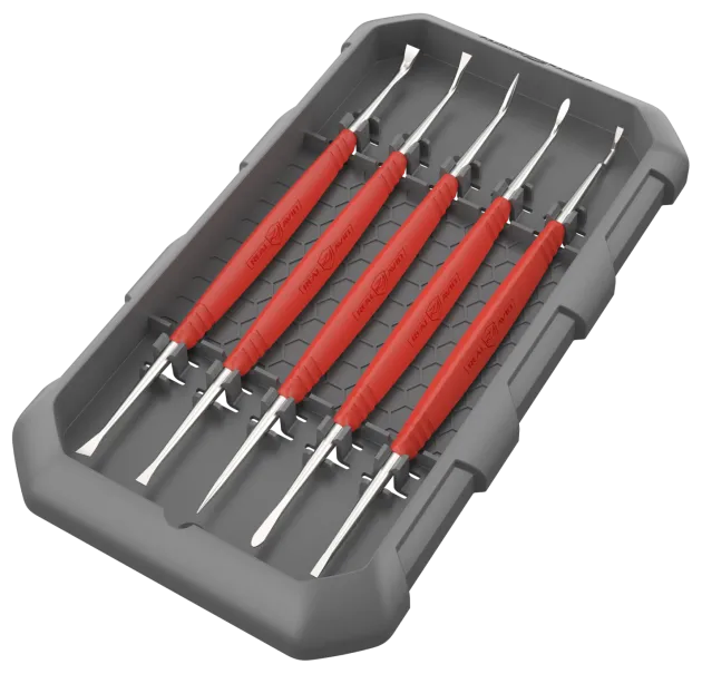 RE00057 - SET DE NETTOYAGE REAL AVID PICS ACIER ACCU-GRIP