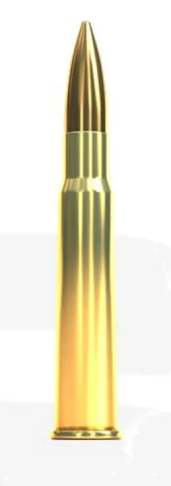 776365 - Sellier&Bellot Cartouches 303B FMJ 180 GRS X 50