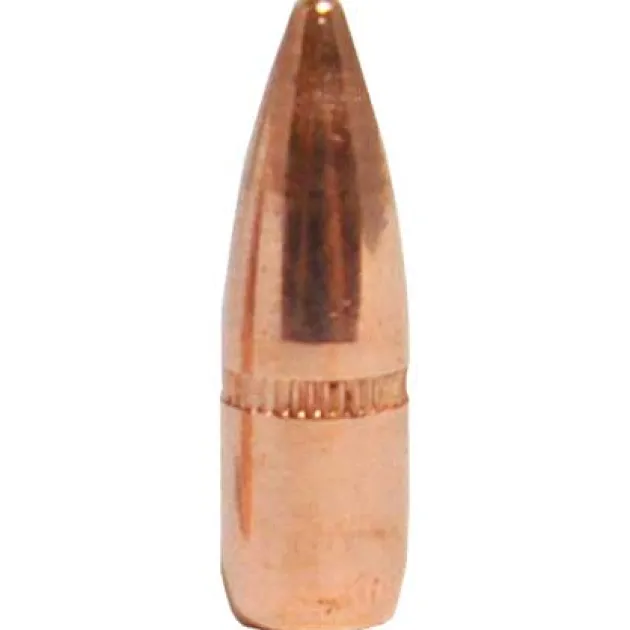 SID773973 22 Caliber .224 Diameter 55 Grain FMJ Boat Tail With Cannelure par 100