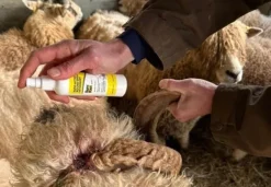 SKT.SKVS100 - SURE KLOT Spray à action rapide Coagulant Vétérinaire 100 ml