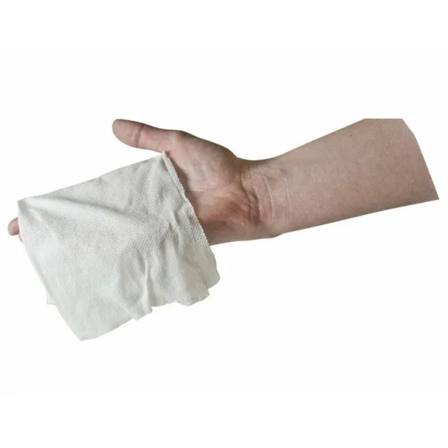 SPC17019 - BCB Lingettes compressées Go Wipes par 10