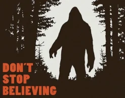 TSN2195 - Affiche Metallique Dont Stop Believing