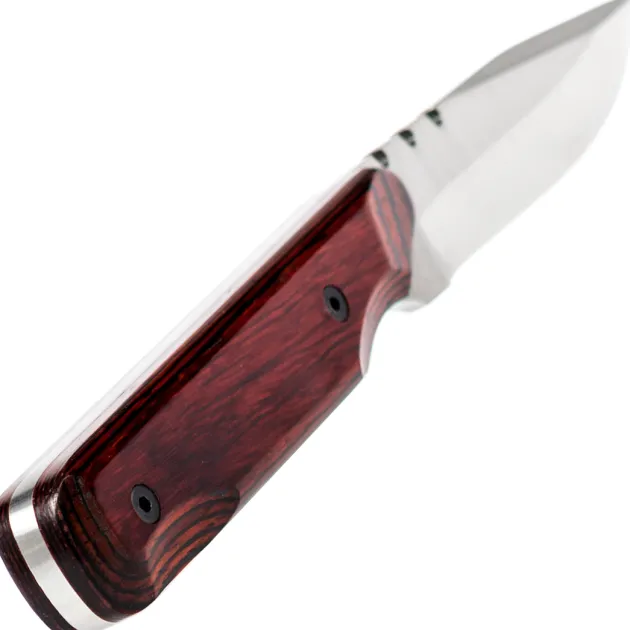 WILDSTEER - BABY WILD COCOBOLO
