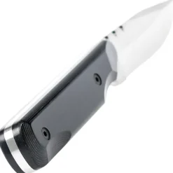 WILDSTEER - BABY WILD MICARTA