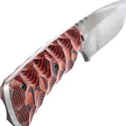 WILDSTEER - Skelet Pakkawood Cocobolo Toxifié/Stonewash