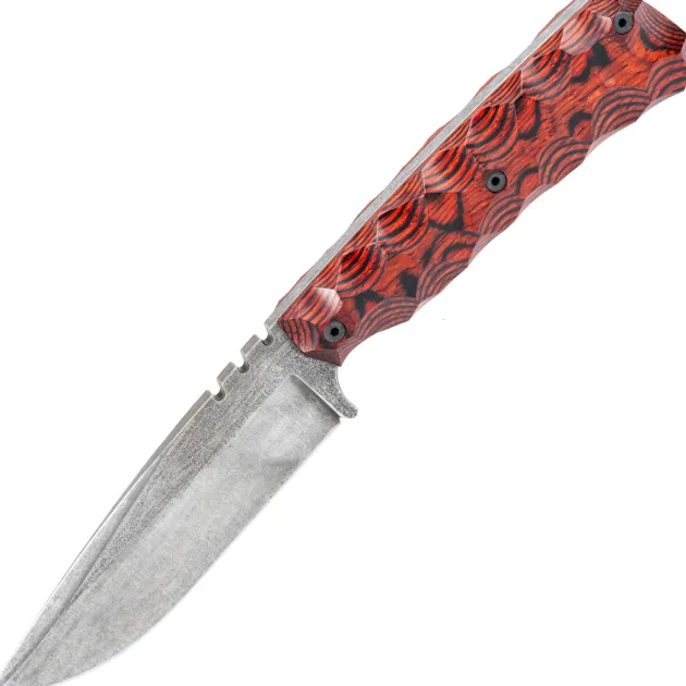 WILDSTEER - Skelet Pakkawood Cocobolo Toxifié/Stonewash